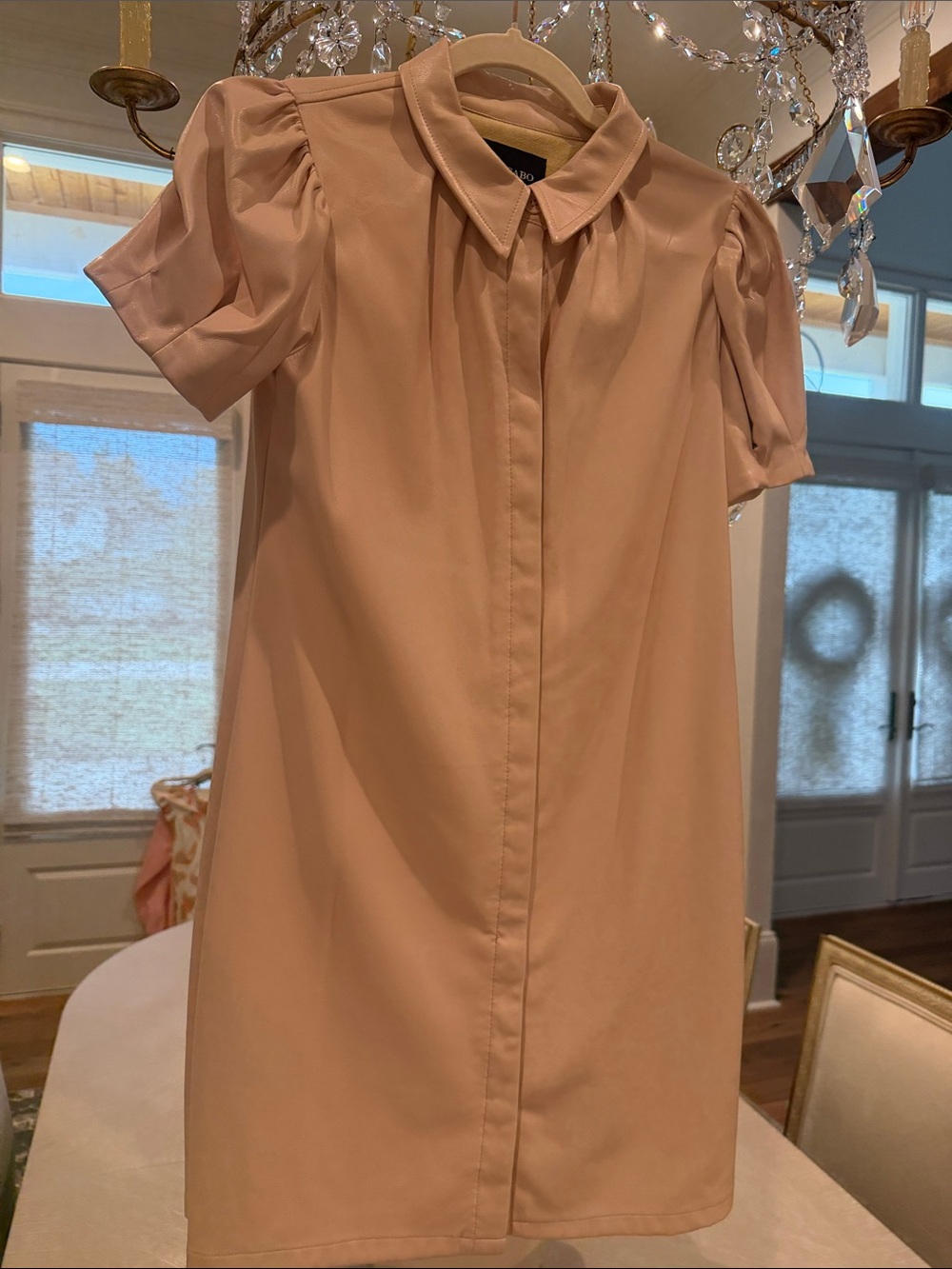 Dolce Cabo Pale Blush Faux Leather Short Puff-Sleeve Dress NWOT